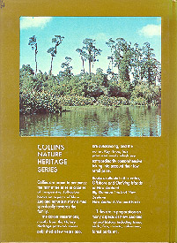 New Zealand Trees Conifers - Cover