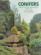 Conifers, The Illustrated Encyclopedia - Cover