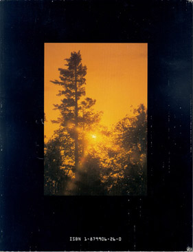 SUGAR PINE, Status, Values and Roles in Ecosystems - Back-Cover